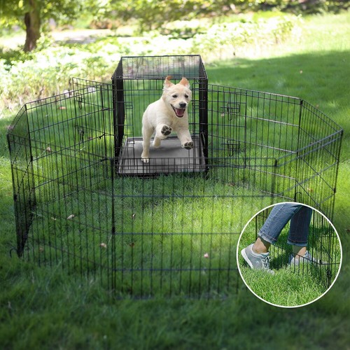 Heavy duty puppy - duty, pet