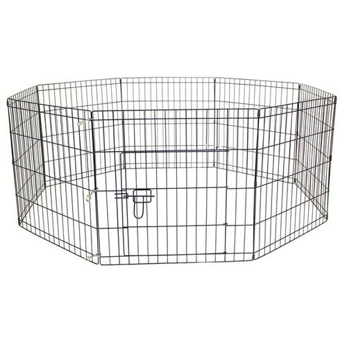 Pet dog pen puppy cat - puppy,