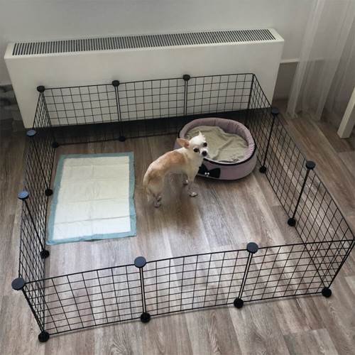 Panel dog puppy - pet, play