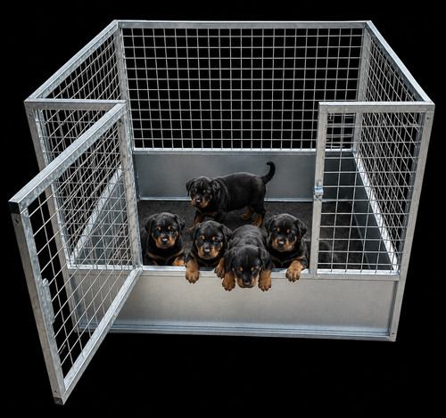 Galvanised steel dog pen - galvanised,