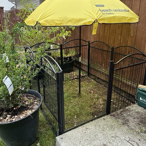 Indoor outdoor pet dog - indoor/outdoor,
