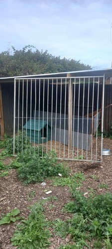 Galvanised dog run panel - galvanised,