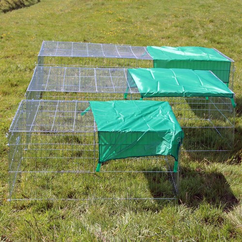 Metal run chicken rabbit - chicken,
