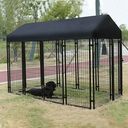 Luxury outdoor dog kennel - outdoor,