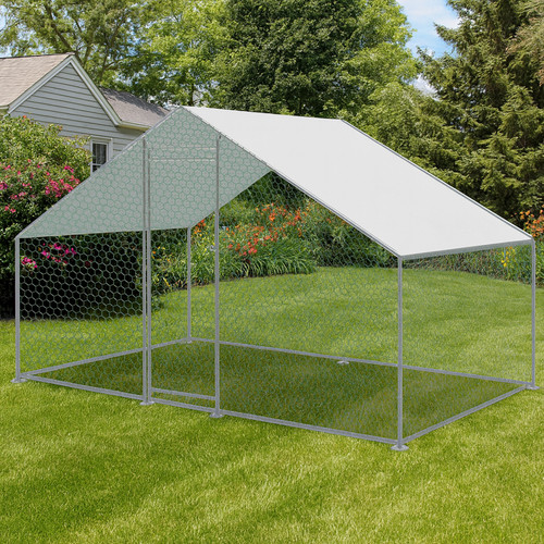 Kct 2x3m walk dog - in,