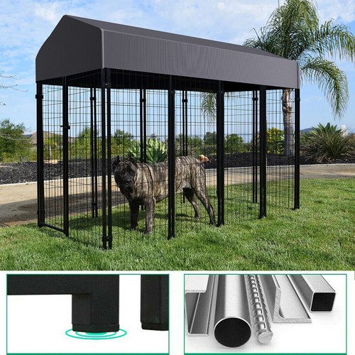 Jumbo outdoor dog - jumbo,